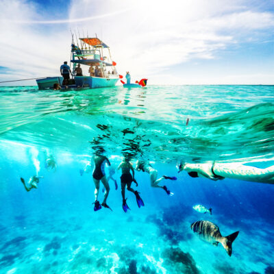 Snorkelling by Boat
