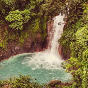 Bijagua Ranas Wildlife Sanctuary & Rio Celeste Waterfall