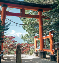 GRADE 11 & 12 JAPAN