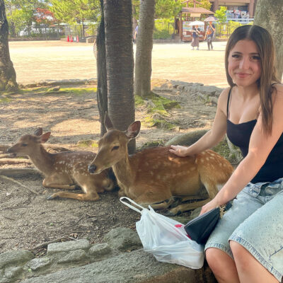 Nara Day Trip