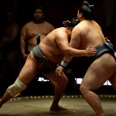 Sumo Experience