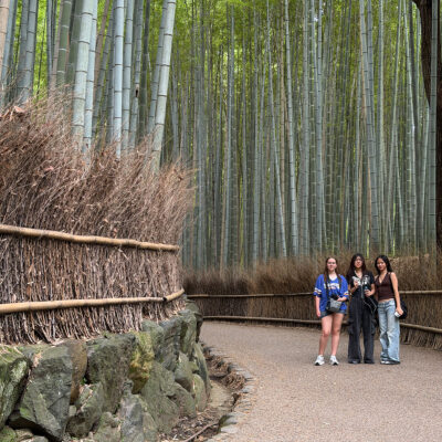 Hozugawa River Run & Arashiyama